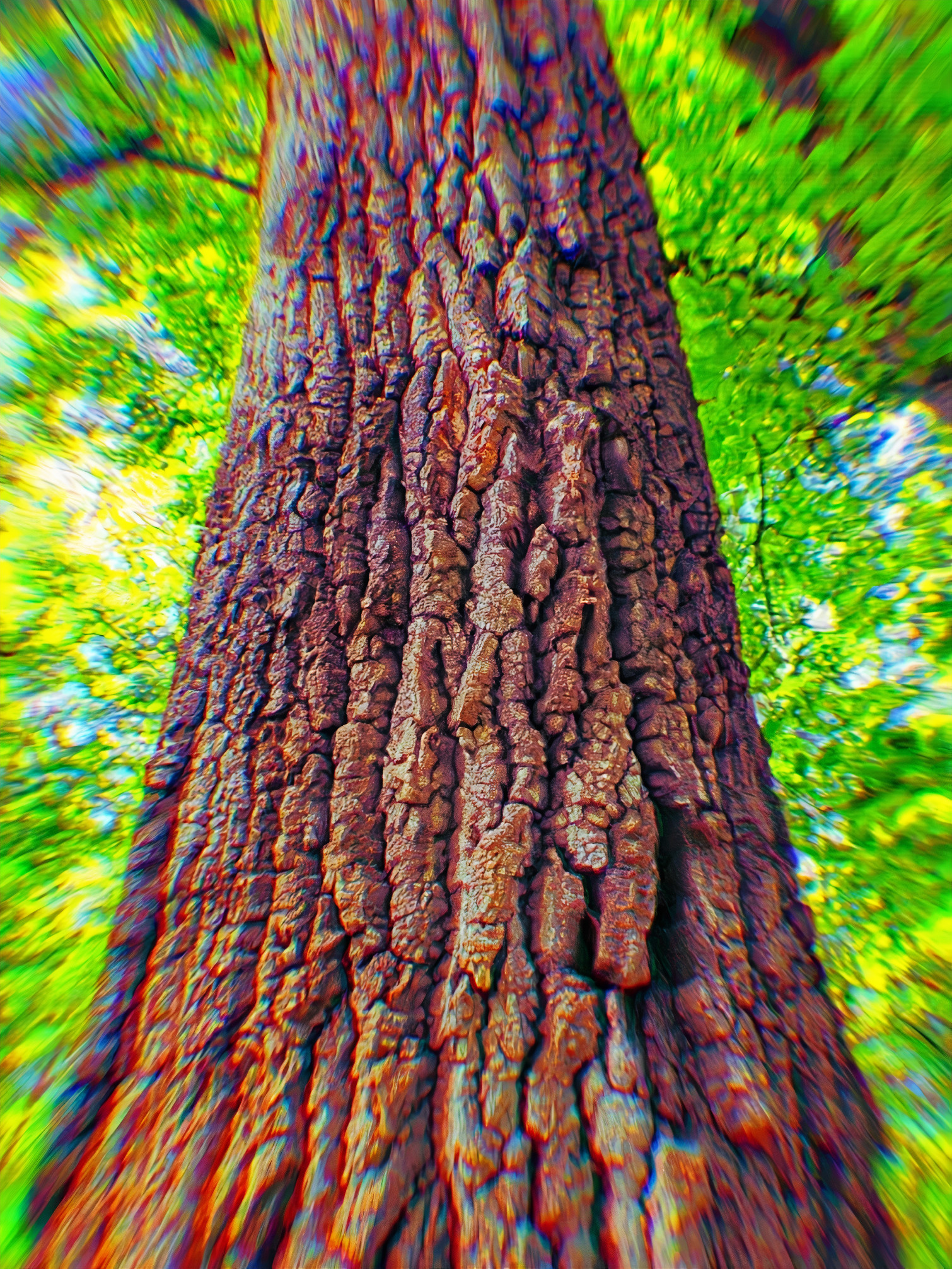 Acuitree
