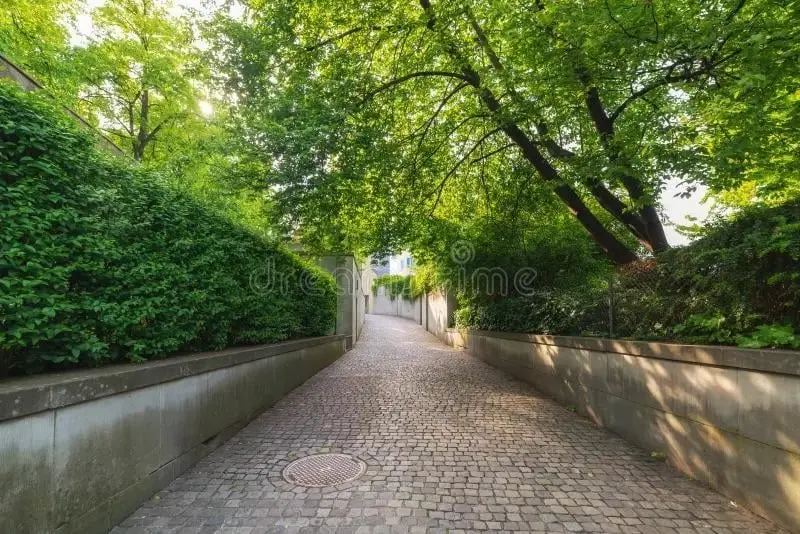 taking a walk on psyches