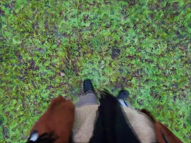 this is sum good pond grass