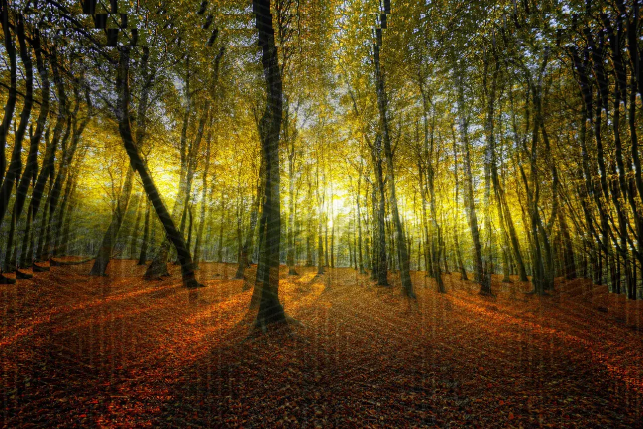 My best attempt at replicating what I see on mushies