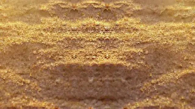 It's been a while (mushies)