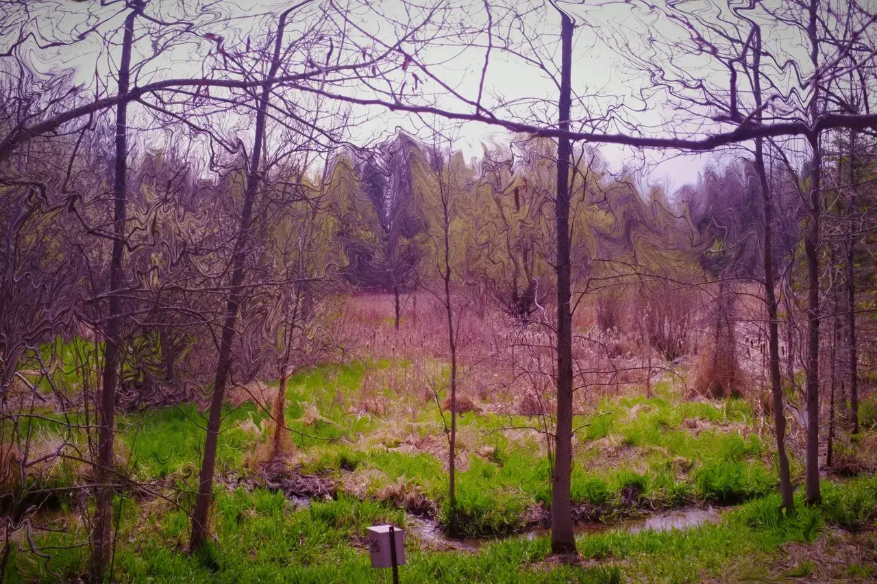 Colours and lines blending like an oil painting-- LSD