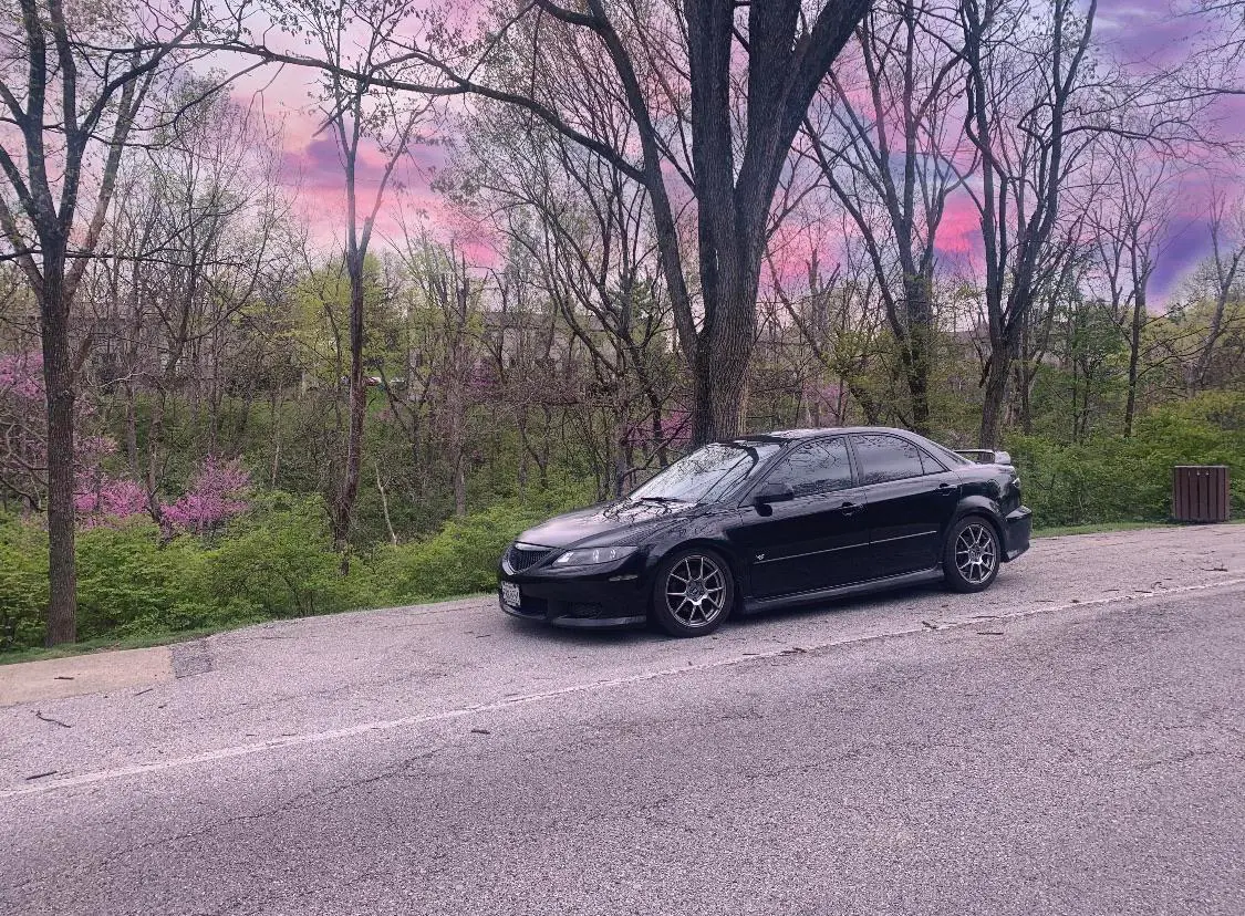 Figured the sky and trees belong here