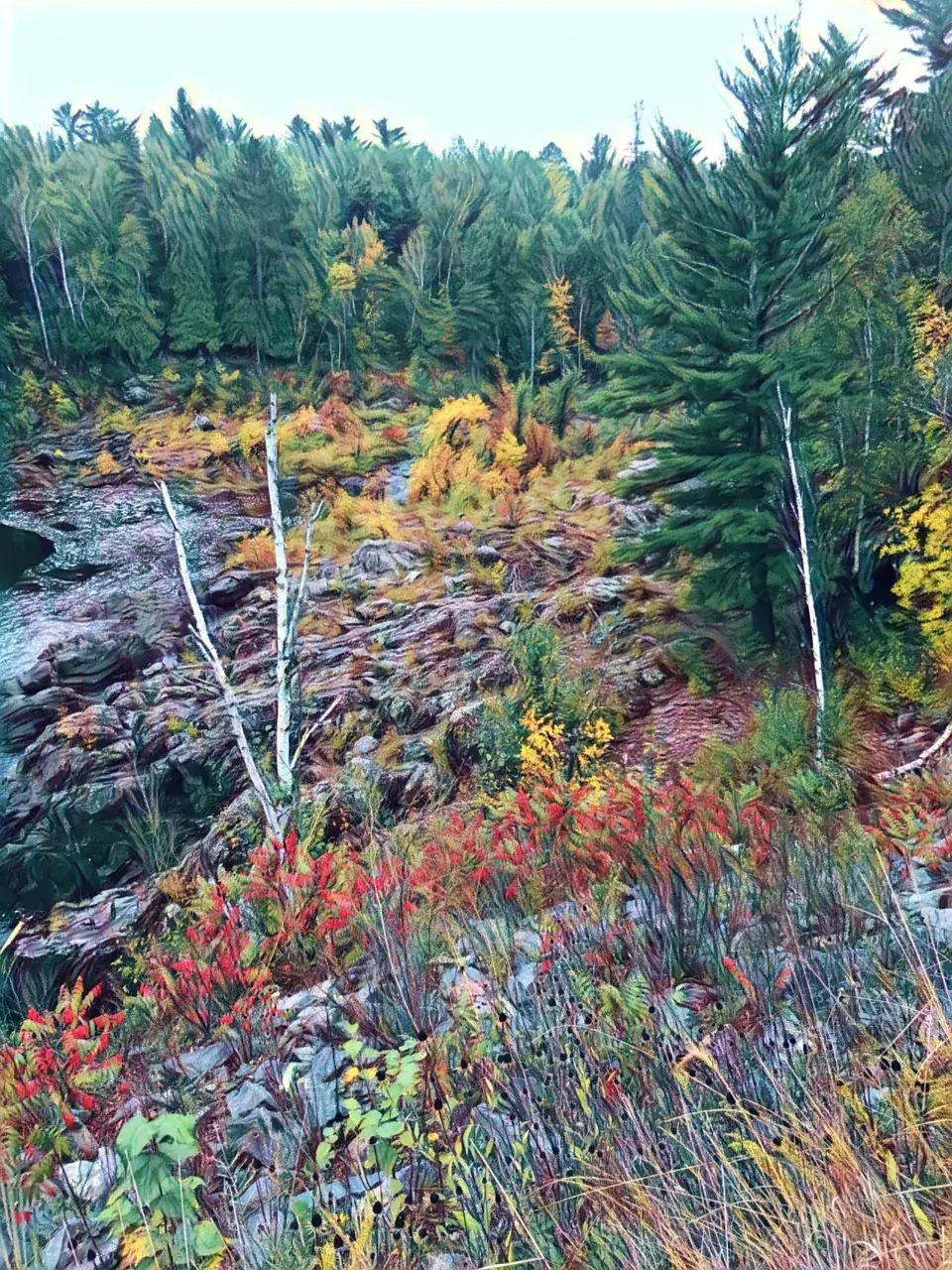 Riverside - ~150 ug LSD-25