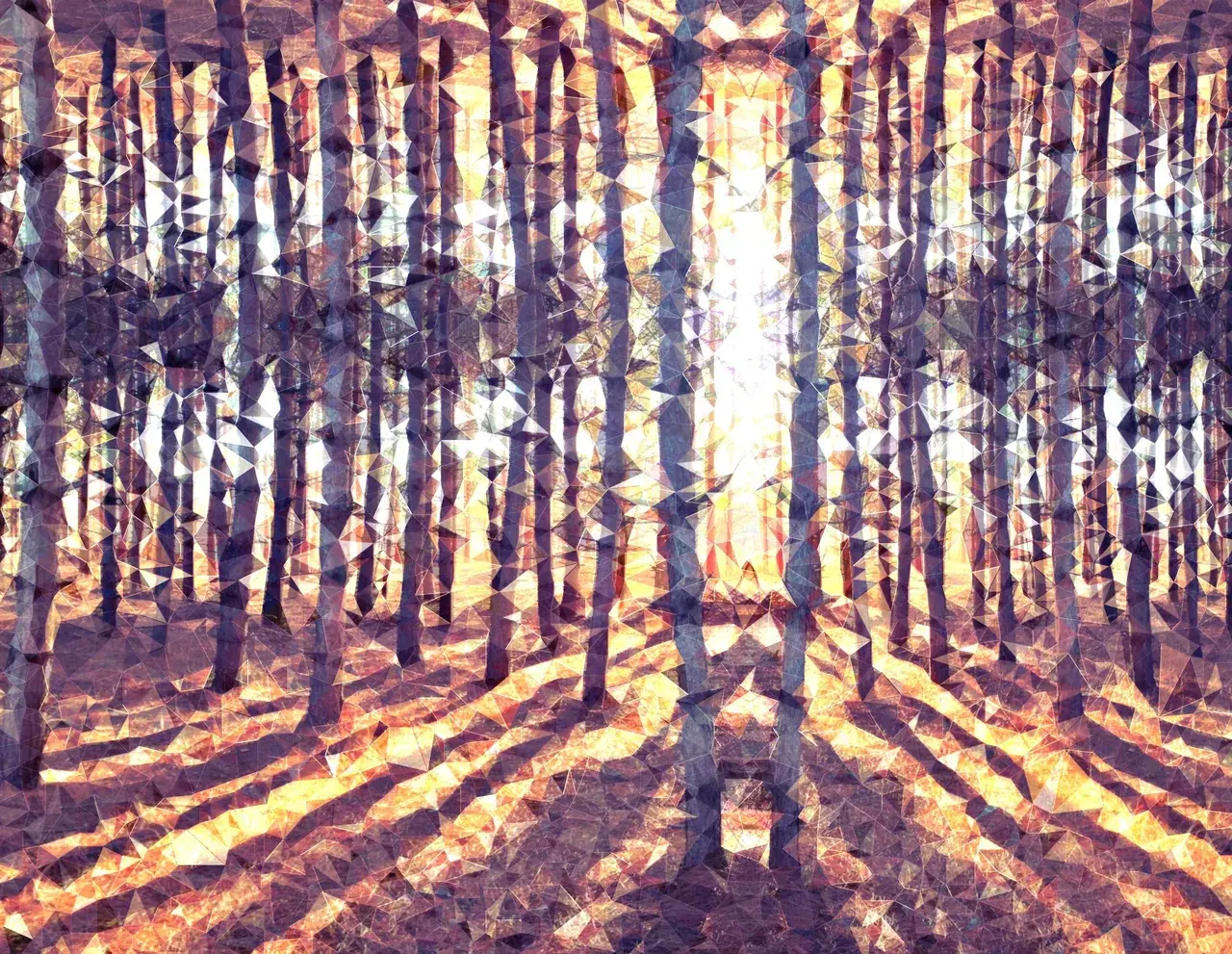 Trip in the forest