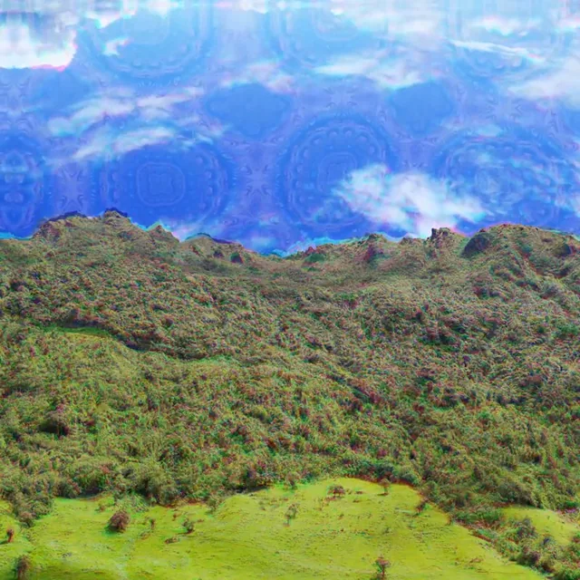 I see fractals in the sky, I see fractals in the trees. I feel fractals in my mind, I see fractals in everything.