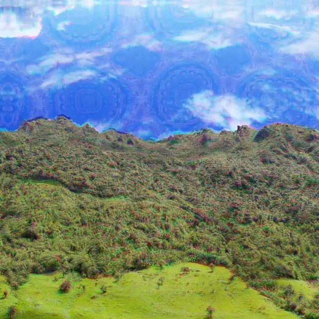 I see fractals in the sky, I see fractals in the trees. I feel fractals in my mind, I see fractals in everything.