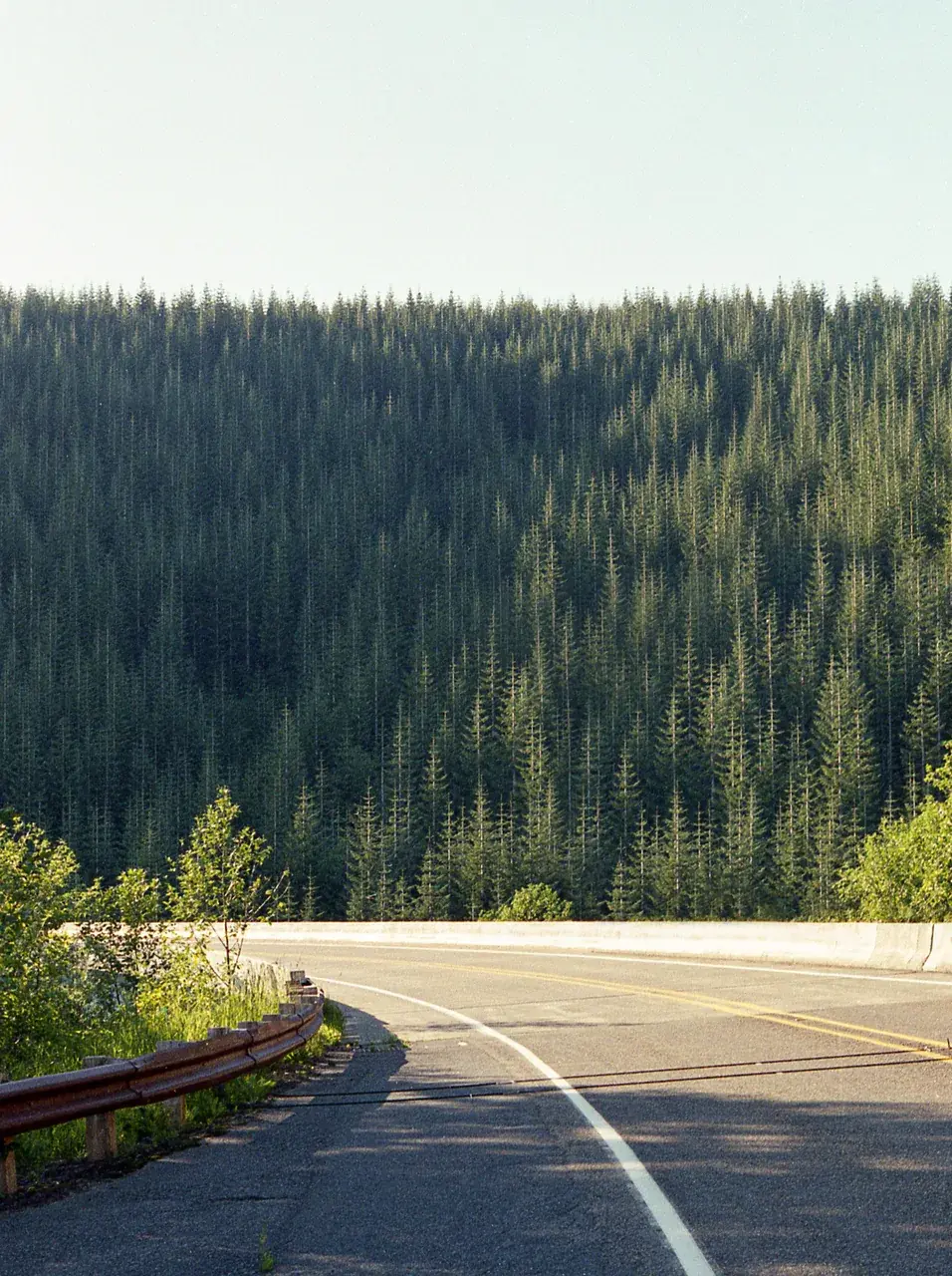 Rendering glitch [Nikkormat EL, 50mm, Fuji Superia 200]