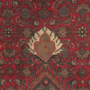 My carpet is moving!