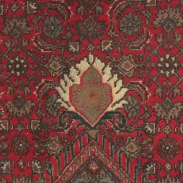My carpet is moving!