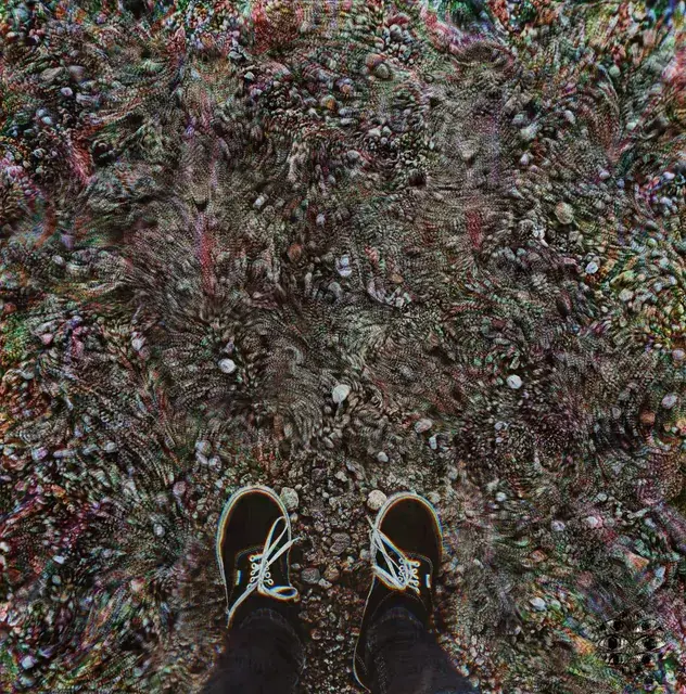 Feet