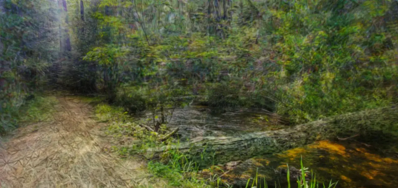 Serenity [OC] Psilocybin Visuals