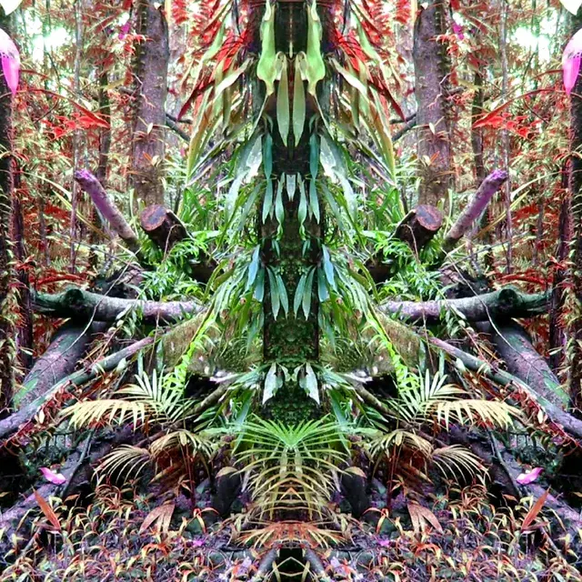 5g shrooms - about to take off