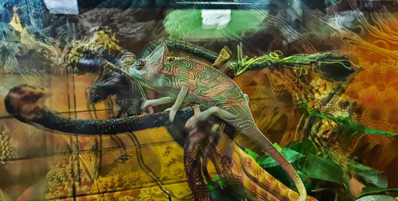 Reptile Gardens [ØÇ] Which is your favourite?