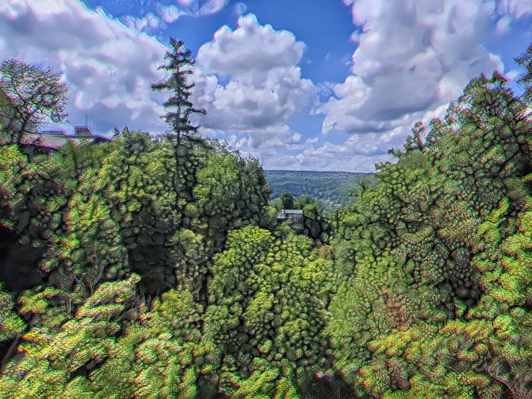 liquified trees