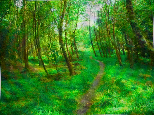 Enchanted Forest (150ug LSD)