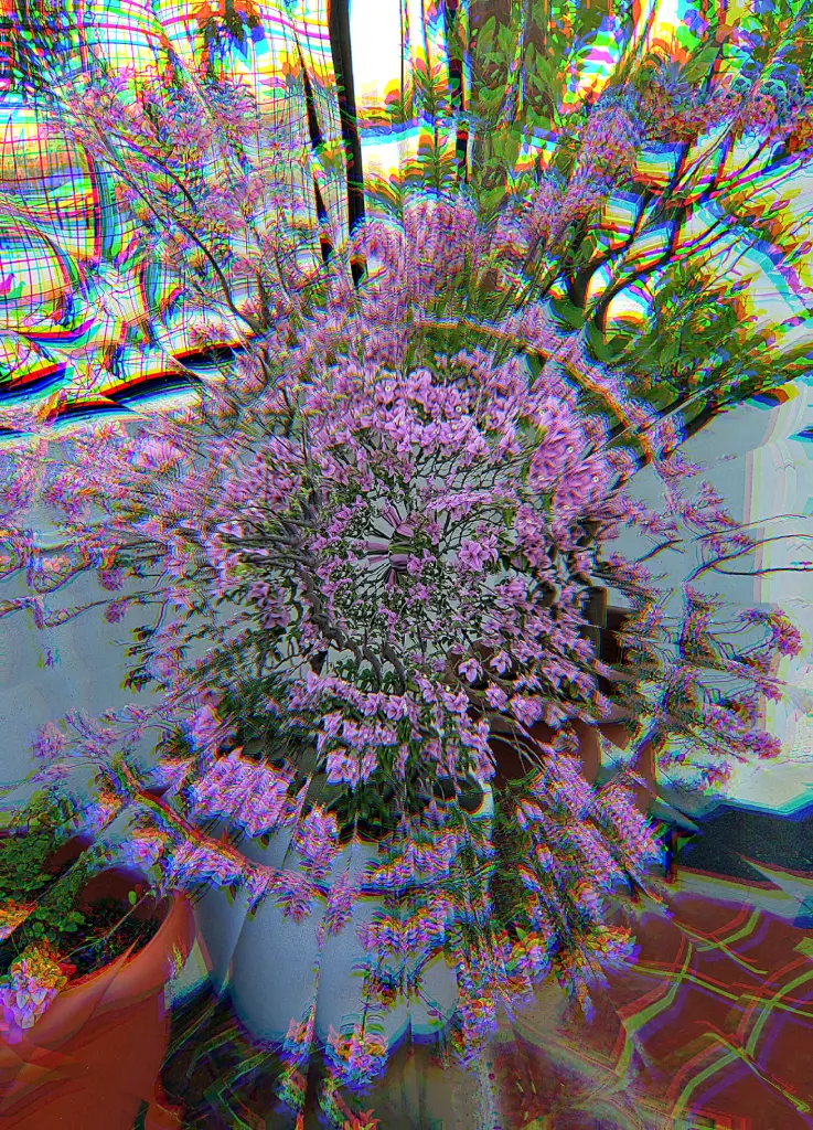 Flowers (Acid OEV)