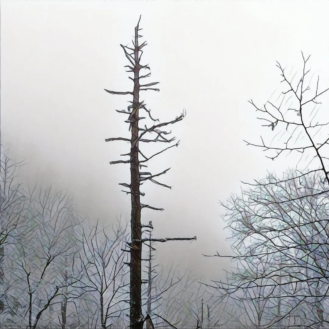 A little walk in the mountains