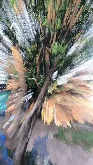 High dose of shrooms