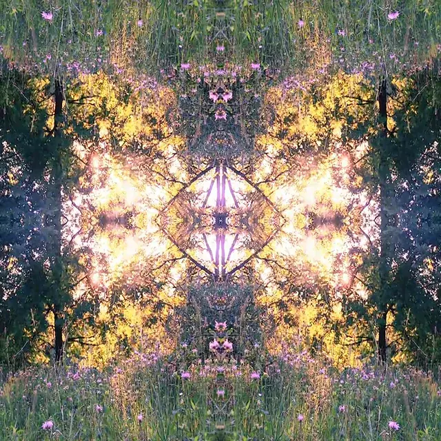 The childlike wonder of LSD fractals