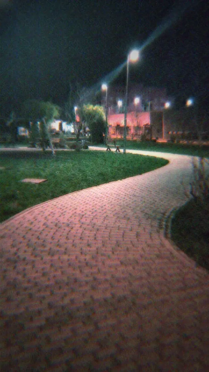 Nutmeg