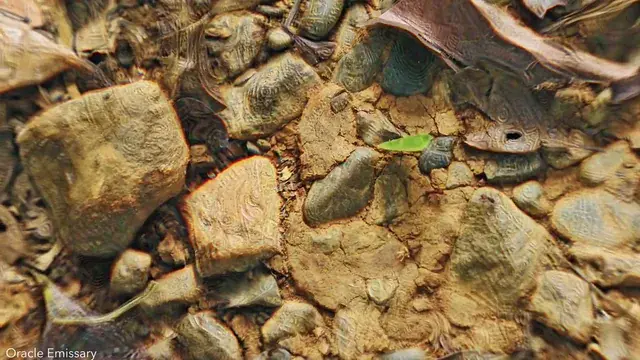 Bruh these rocks are insaaane
