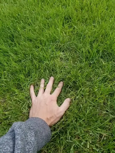When the grass starts dancing and you wonder about the drink your friend just gave you 😳