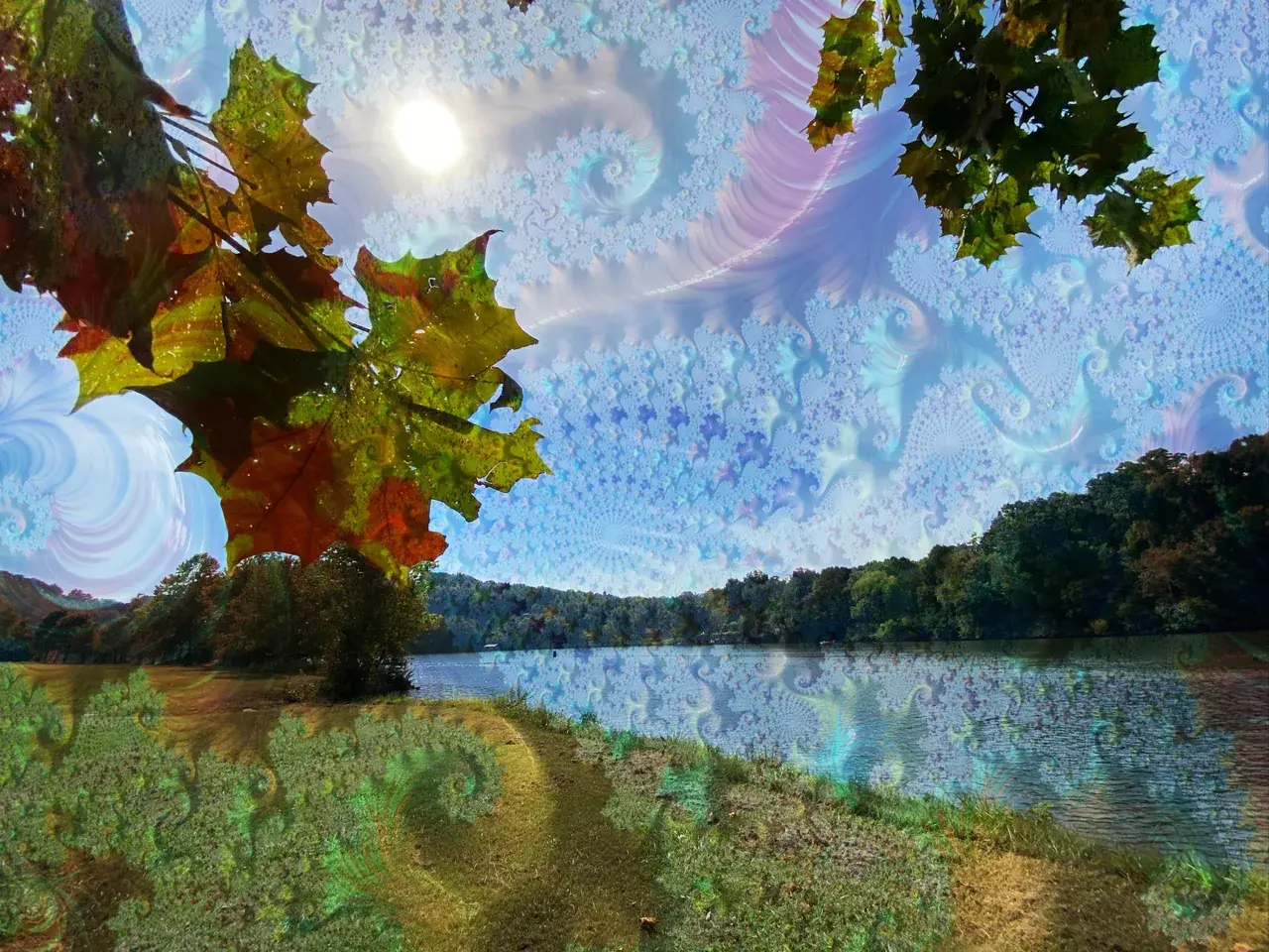 Day Trippin, LSD or shrooms?