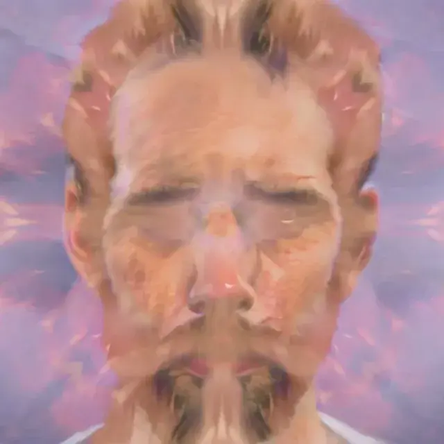 When the peak hits and you turn to your buddy and his face starts doing the thing... High dose of shrooms closed eye visuals experiment