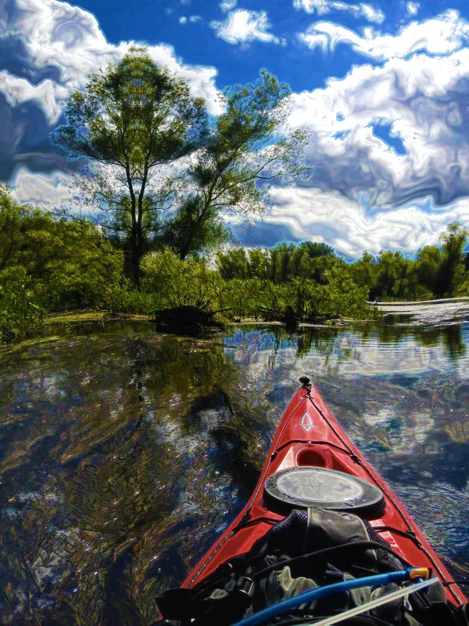 Kayak trip