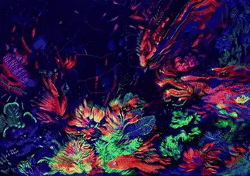 Playing with blacklight paint
