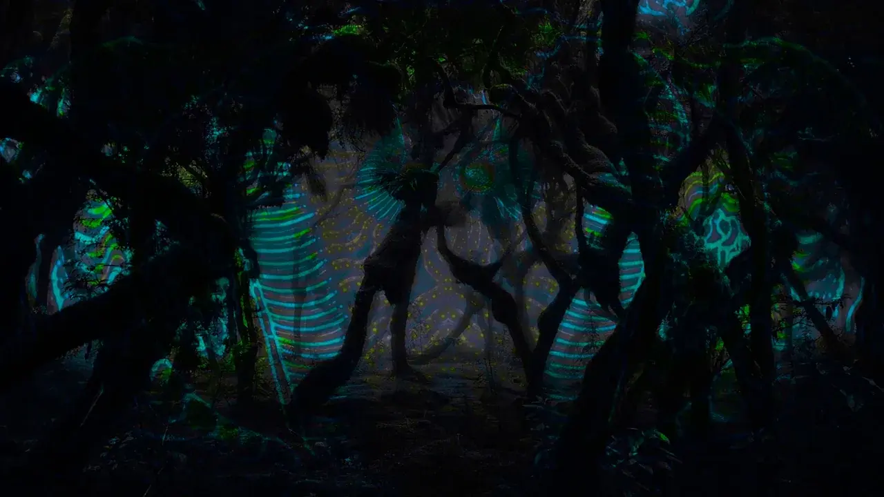 DMT visuals i made after my first trip.