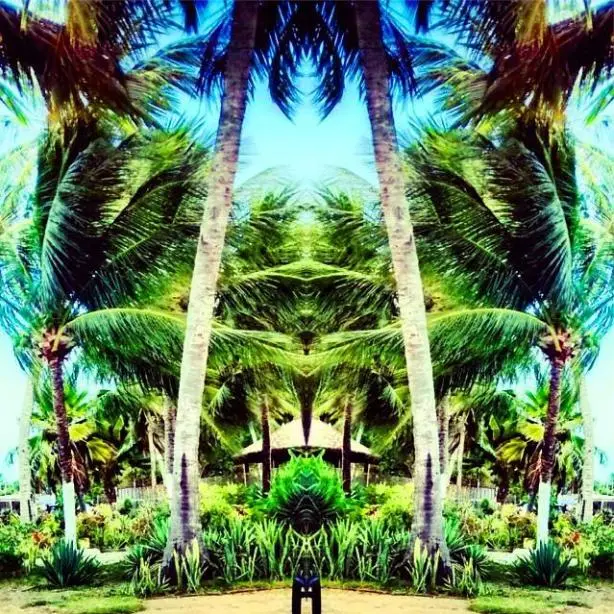 Welcome to the beach