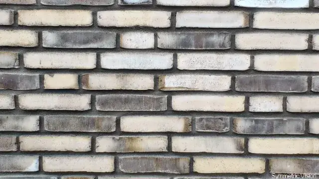 That moment when a brick wall becomes alive, on acid