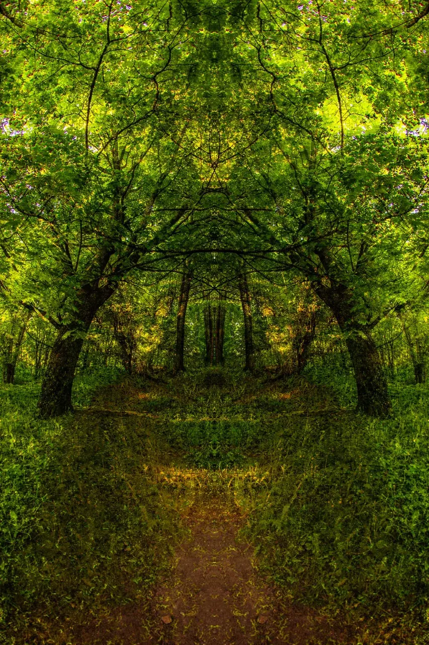 I sit in the park among mossy lions and I miss, my thoughts intertwine in a stone smile in my ear, I look and breathe and think and I am a little angry, whether it is raining yesterday or dew today or dry tomorrow. "Fly fly fly"