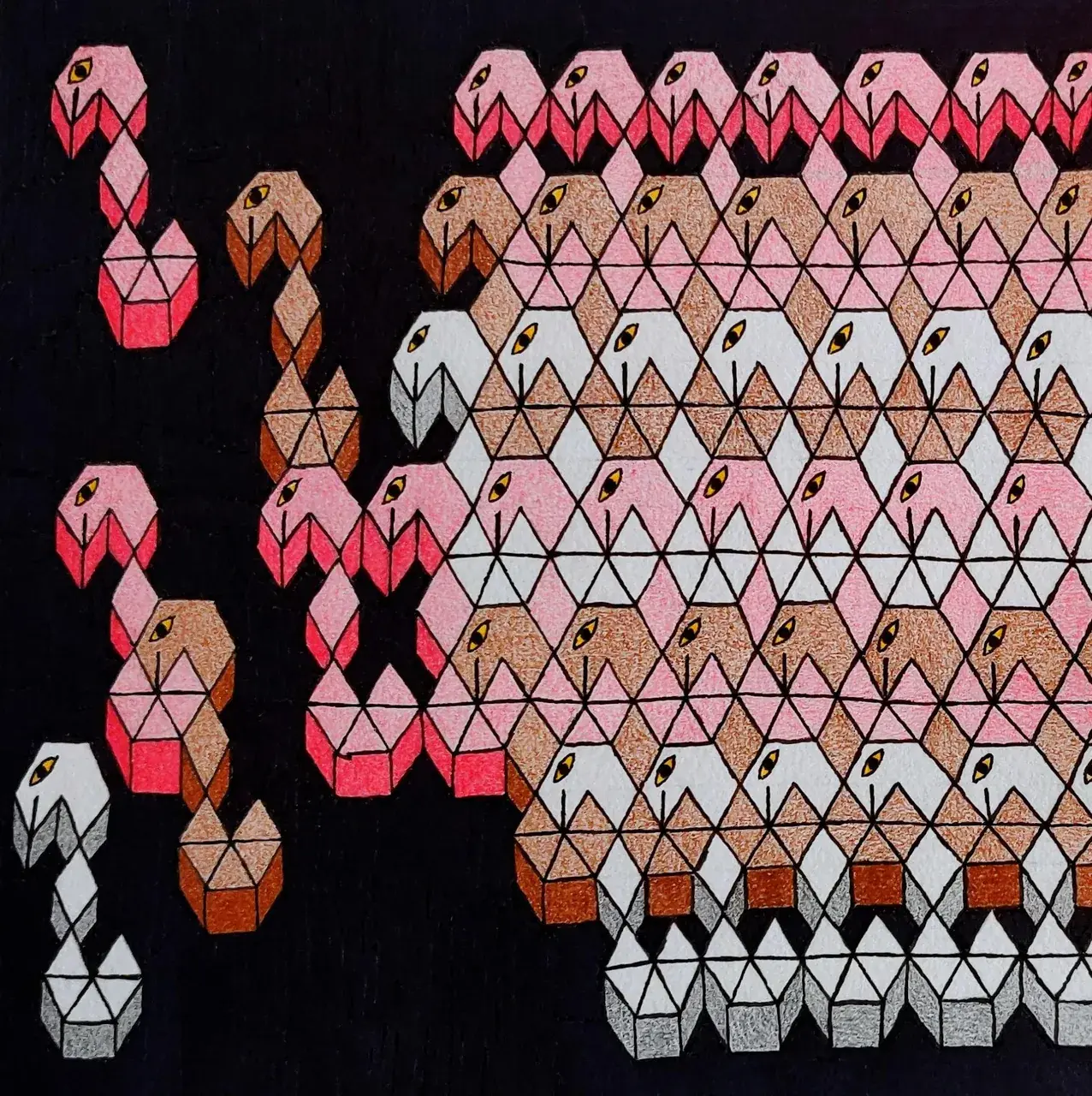Geometric Snakes