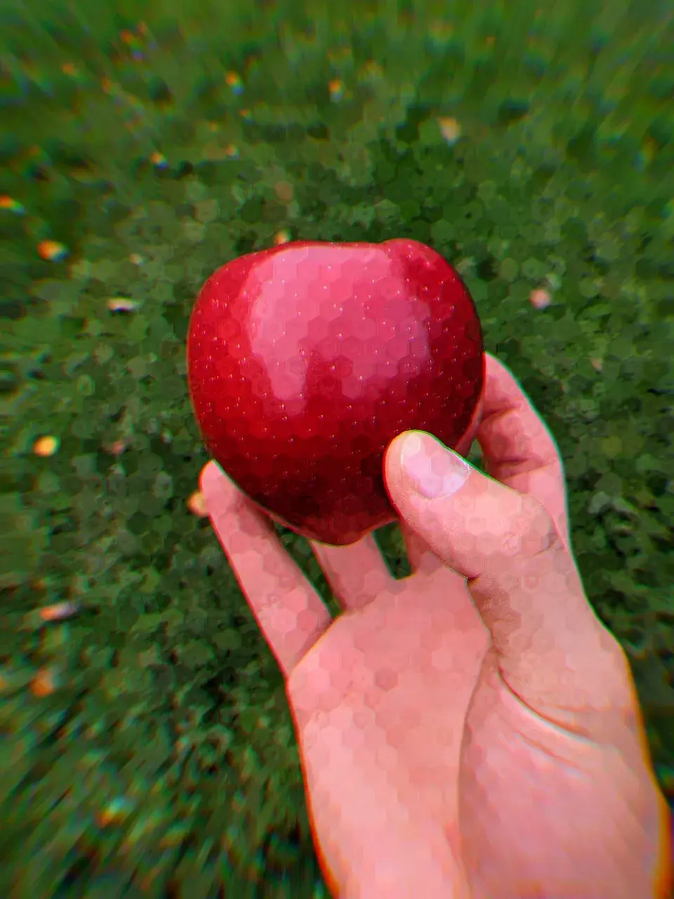 abstract apple