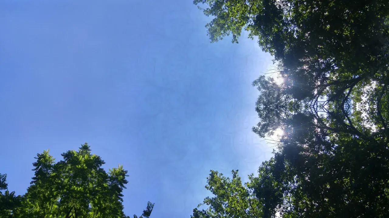 1 🌈 looking up