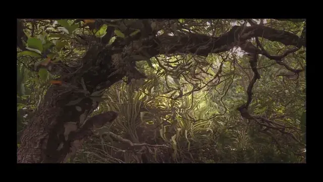 Low dose shrooms doing warpy things