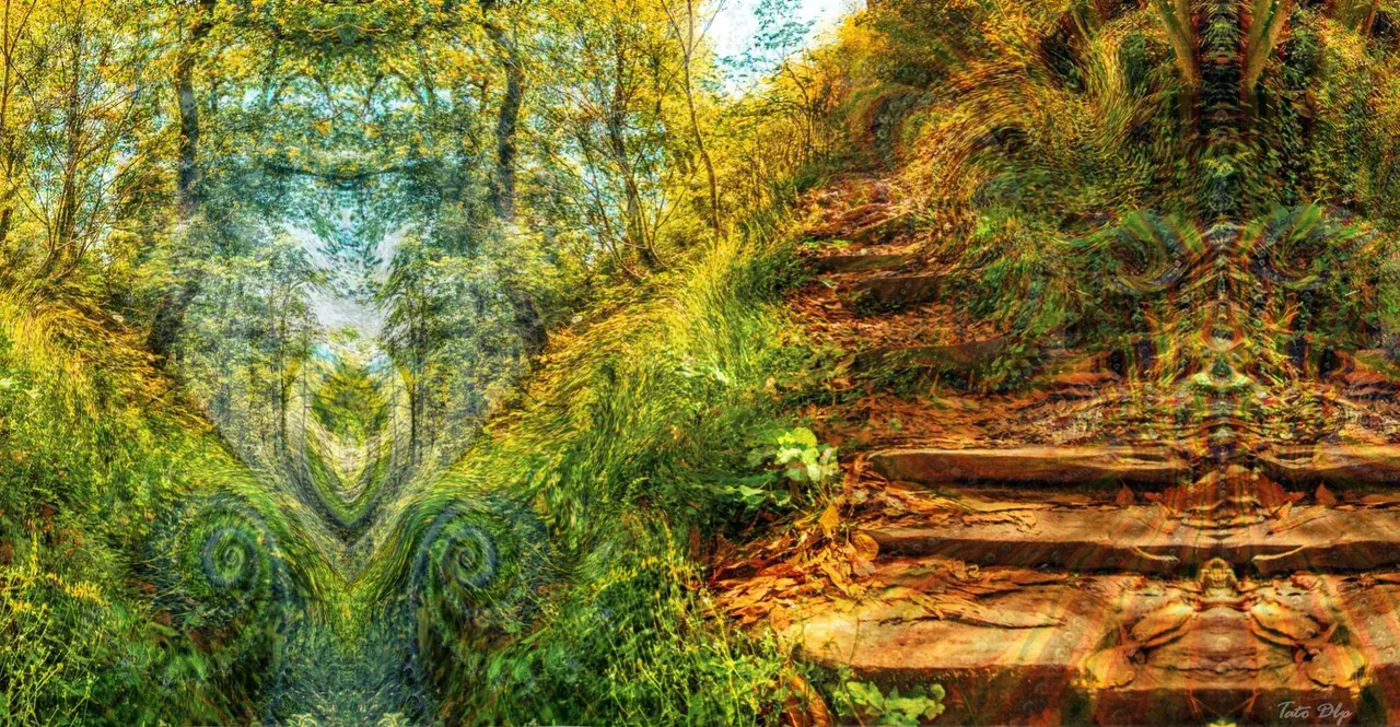 Tripping in the mountain trail [OC]