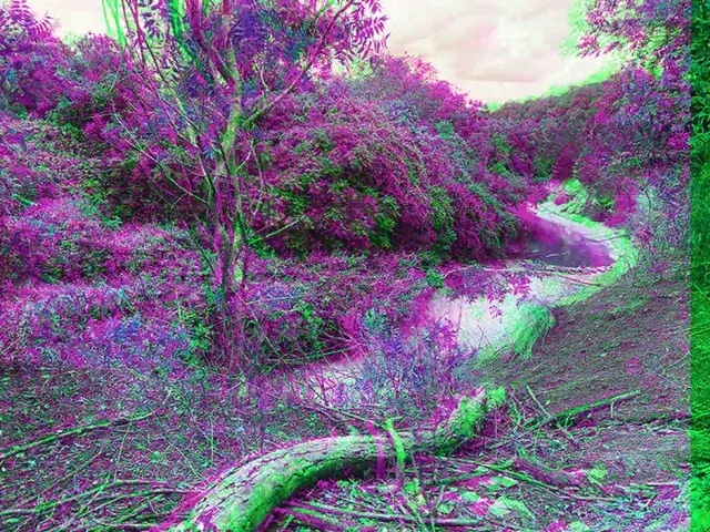 Replication of my DMT/LSD trip during a hike