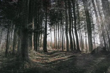 Breaking through into wonderland