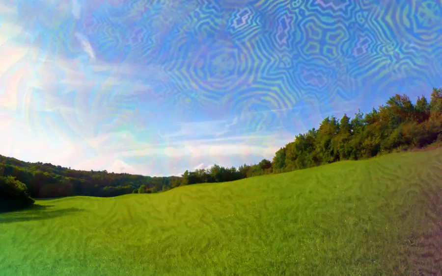 My attempt at recreating what walking through a grassy field on 225ug looks like.