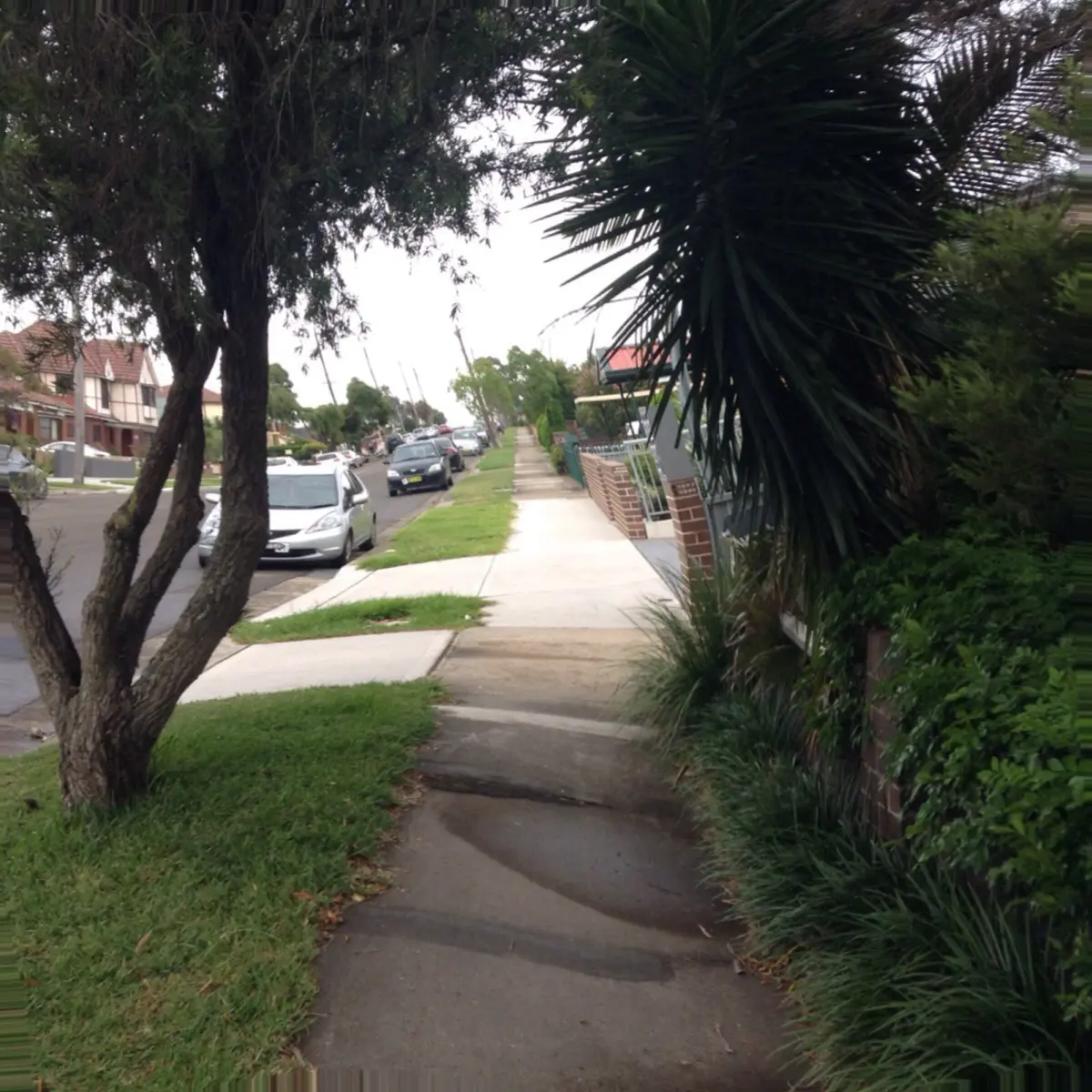 Walking home on the come down (LSD)