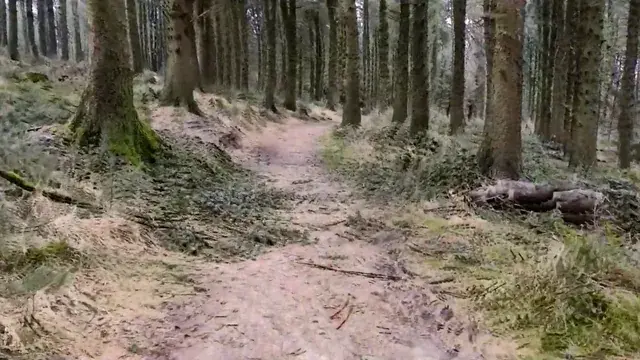 A quick step into mother nature