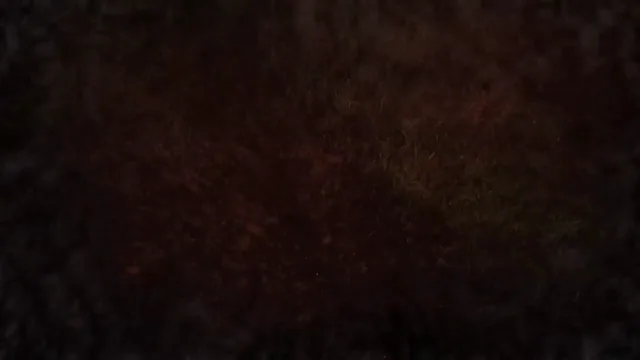 Doing some video replications now, call this one "Hiking on Deliriants" (for obvious reasons, don't do this). Feedback and suggestions welcome.