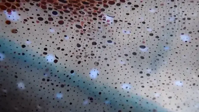 Reminds me a lot of what speckled surfaces did on acid