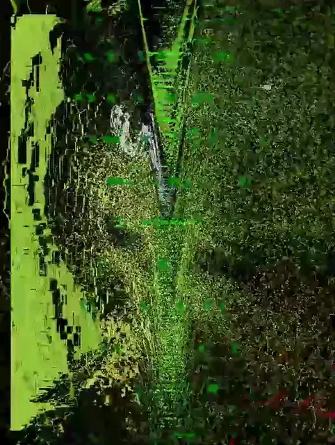 DMT visions of Kermit The Frog