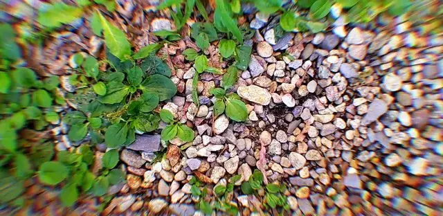 acid rocks!