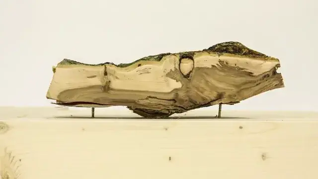 Stop Motion wood getting sanded (x-post from r/woahdude)